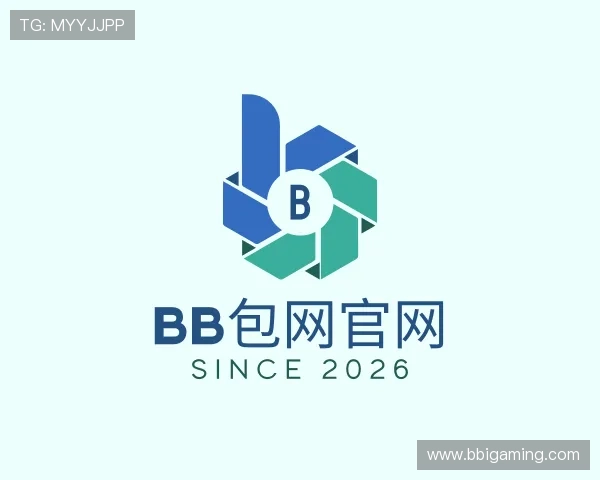 解读BB包网官网